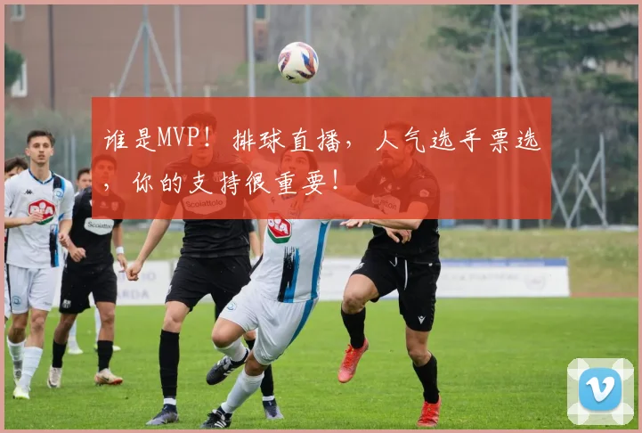 谁是MVP！排球直播，人气选手票选，你的支持很重要！